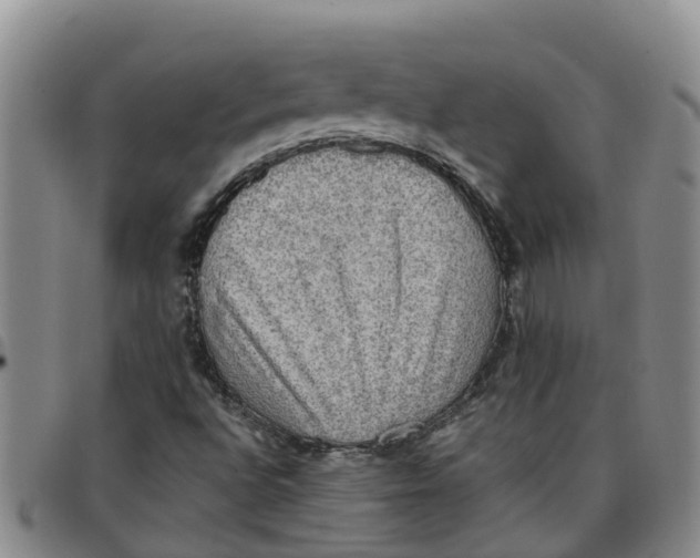 X0000097461496200803141840