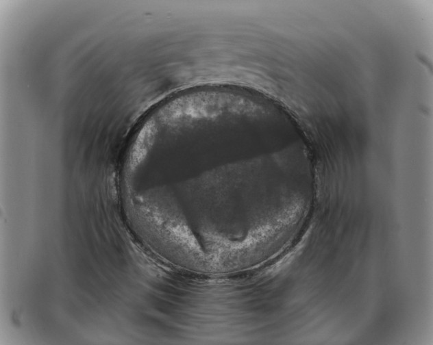 X0000097461497200803141840