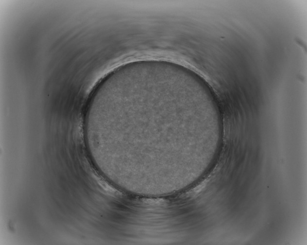 X0000097461498200803141840