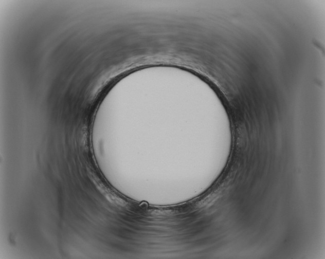 X0000097461499200803141840