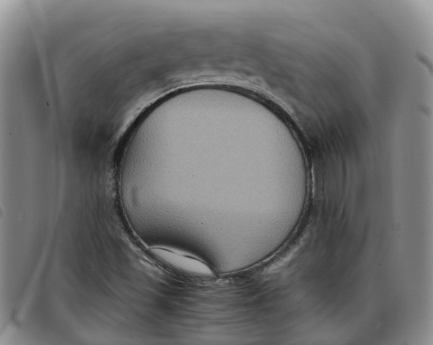 X0000097461501200803141840