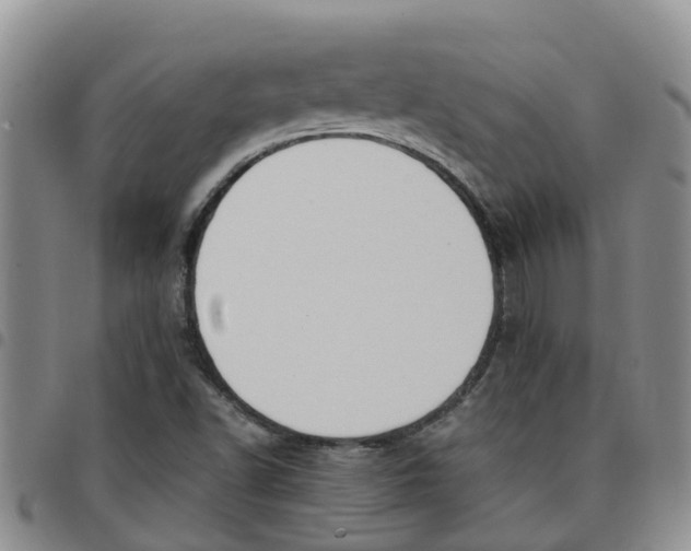 X0000097461502200803141840