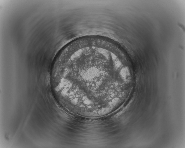 X0000097461505200803141840