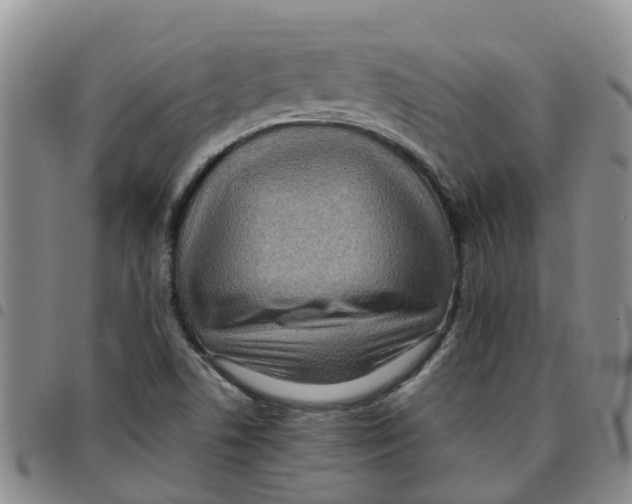 X0000097461506200803141840