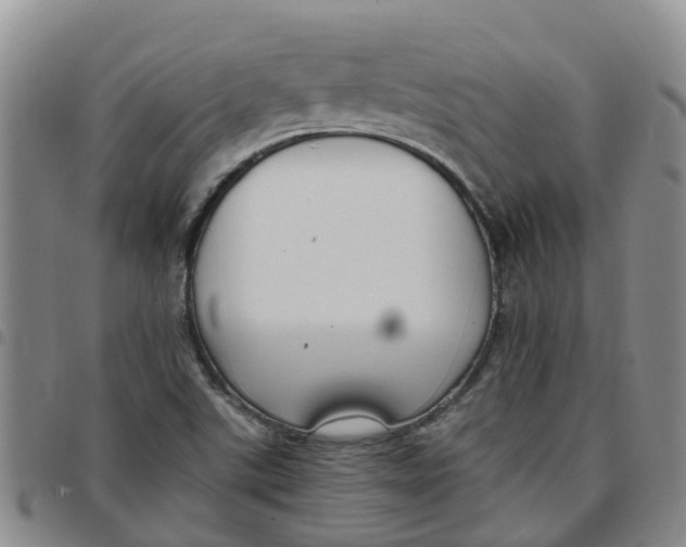 X0000097461507200803141840