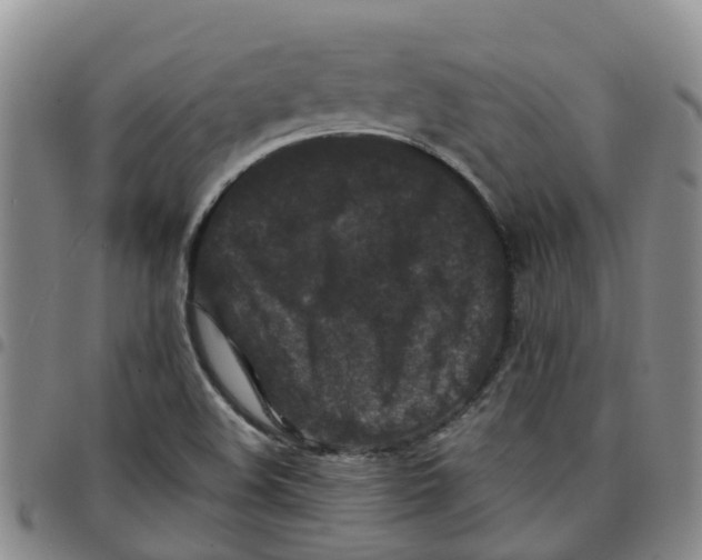 X0000097461508200803141840