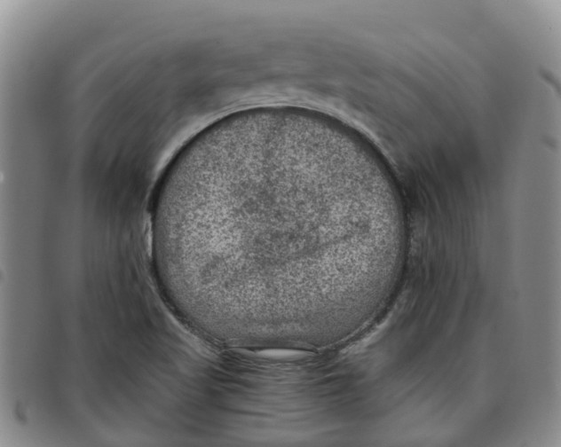 X0000097461509200803141840