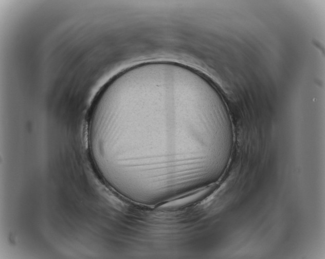 X0000097461510200803141840