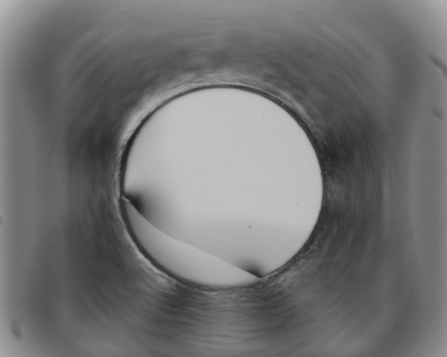 X0000097461512200803141840