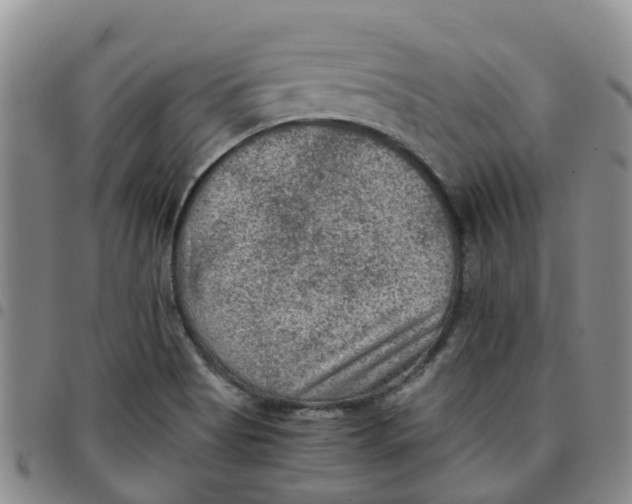 X0000097461513200803141840