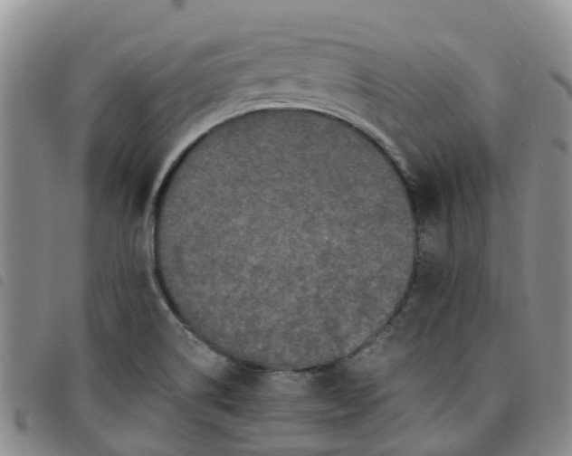 X0000097461514200803141840