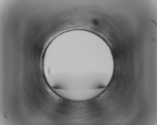 X0000097461516200803141840