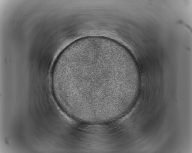 X0000097461517200803141840