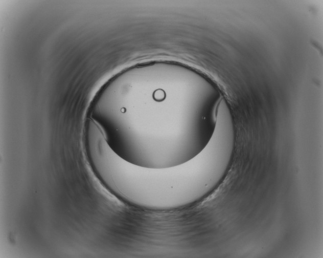 X0000097461518200803141840