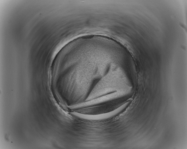 X0000097461520200803141840