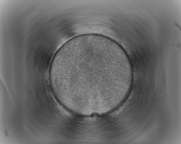 X0000097461521200803141840