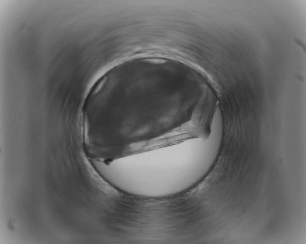 X0000097461522200803141840