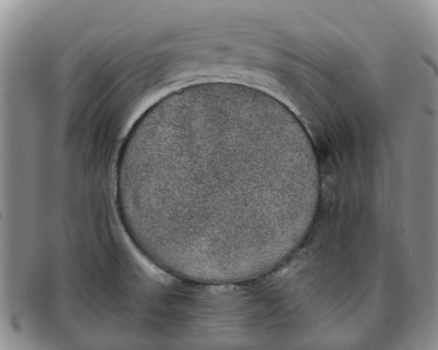 X0000097461523200803141840