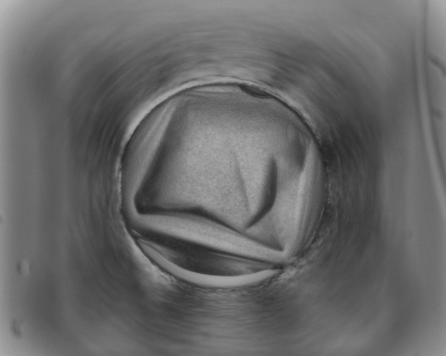 X0000097461524200803141840