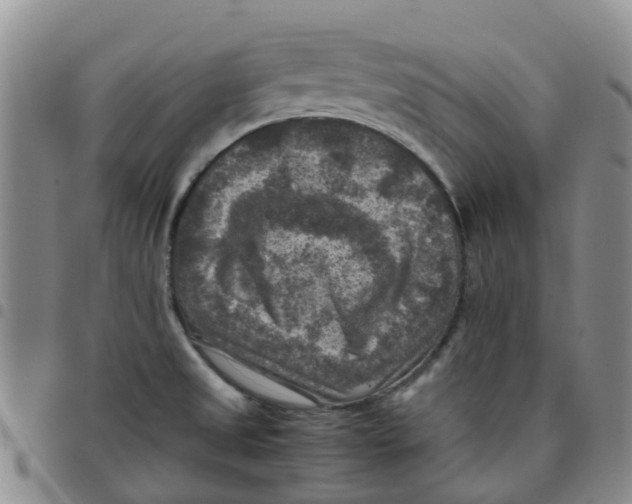 X0000097461525200803141840