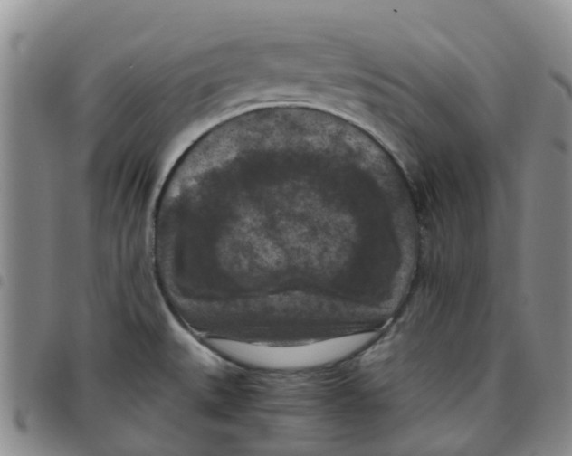 X0000097461527200803141840