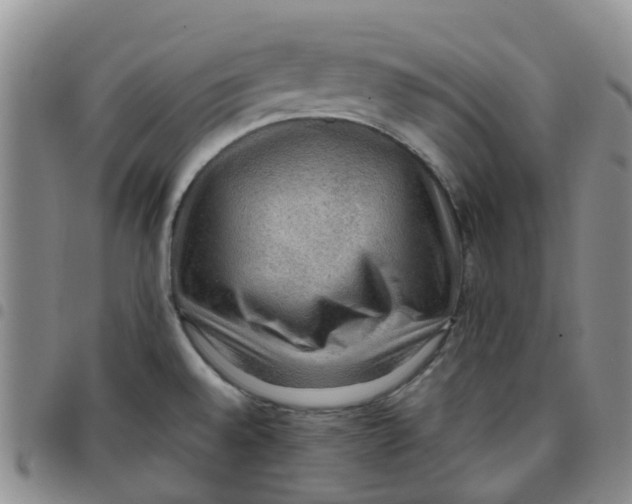 X0000097461528200803141840