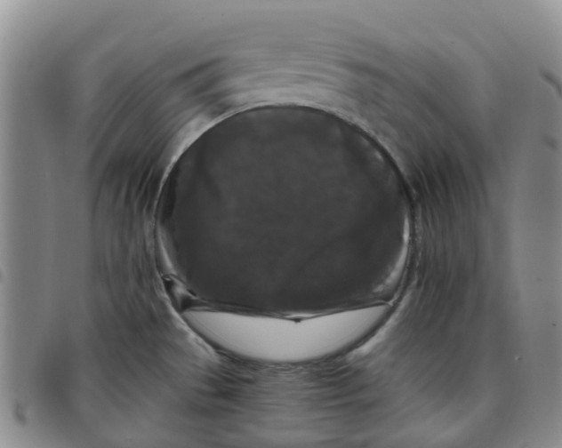 X0000097461529200803141840