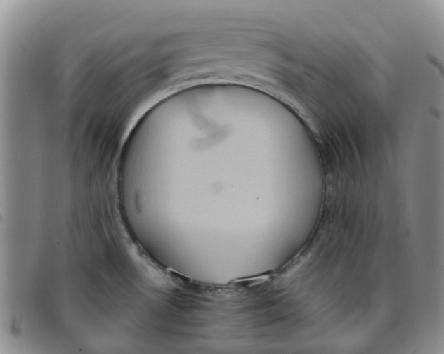 X0000097461530200803141840