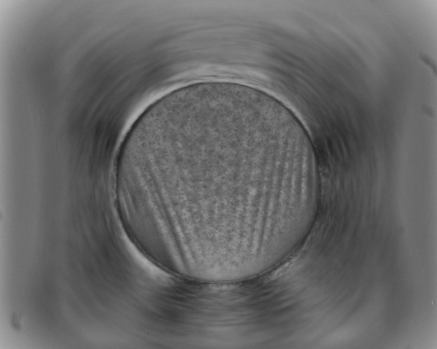 X0000097461531200803141840