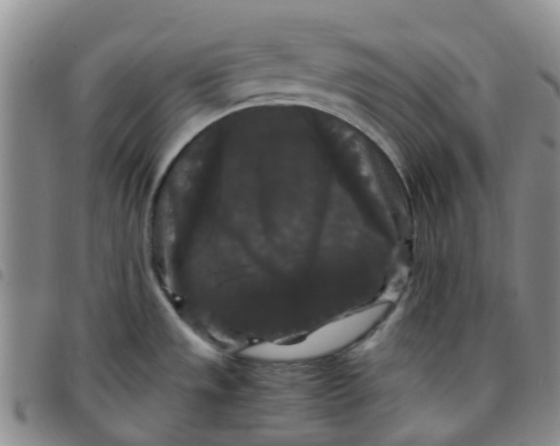 X0000097461533200803141840