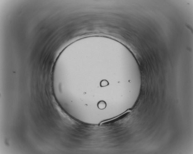 X0000097461534200803141840