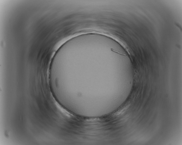 X0000097461535200803141840