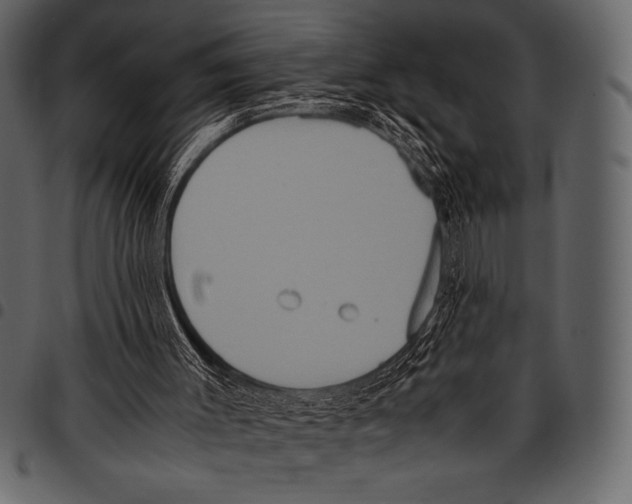 X0000097460003200803201436