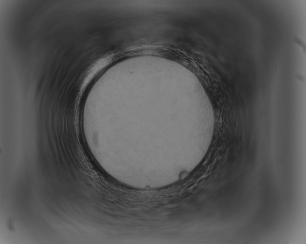 X0000097460006200803201436