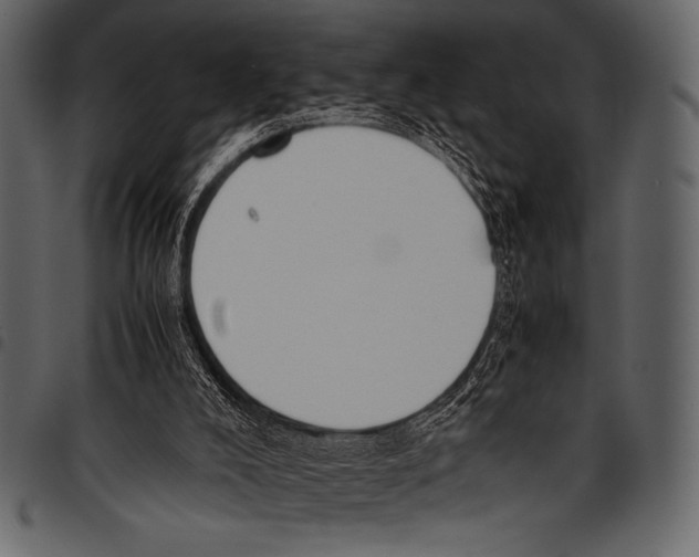 X0000097460008200803201436