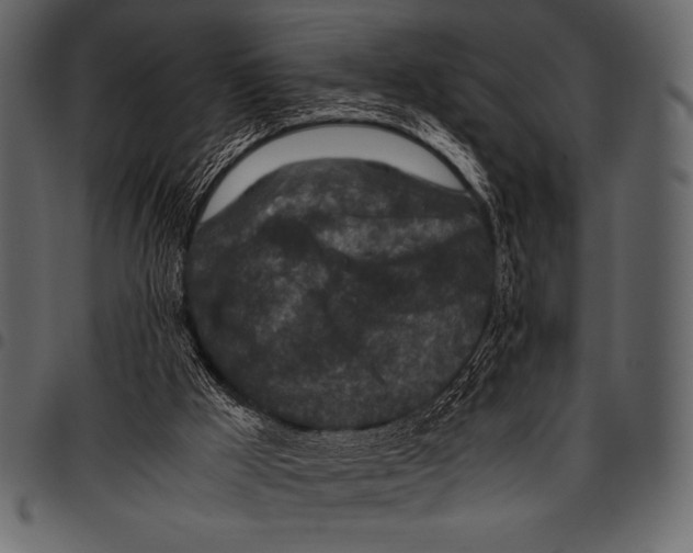 X0000097460009200803201436