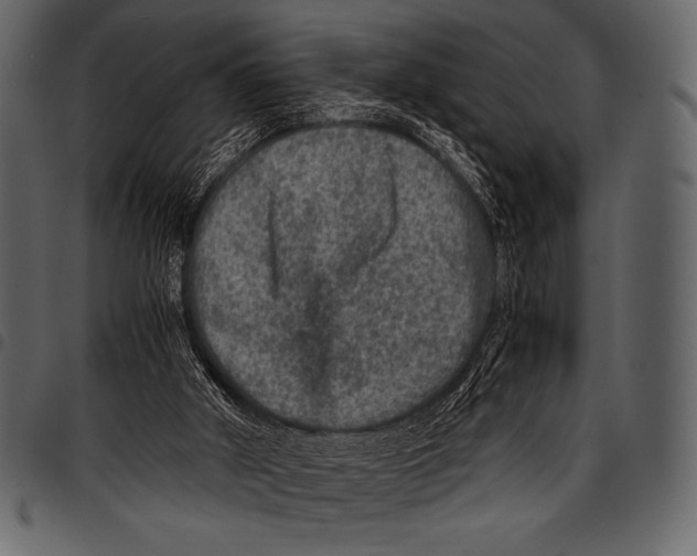 X0000097460010200803201436