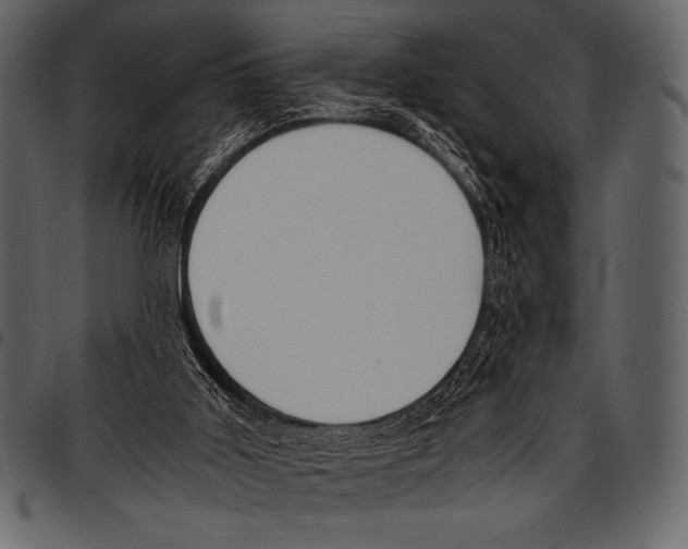 X0000097460011200803201436