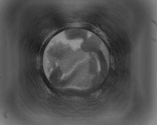 X0000097460012200803201436