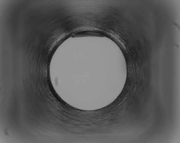 X0000097460015200803201436