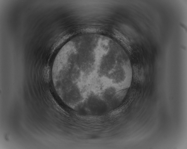 X0000097460016200803201436