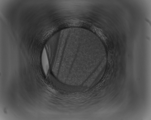 X0000097460017200803201436