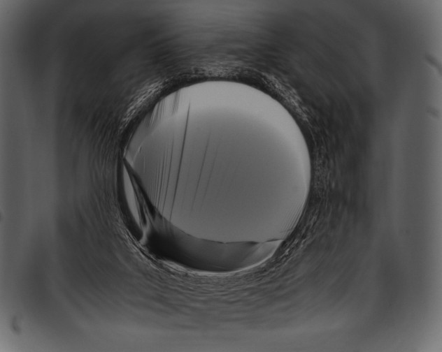 X0000097460019200803201436