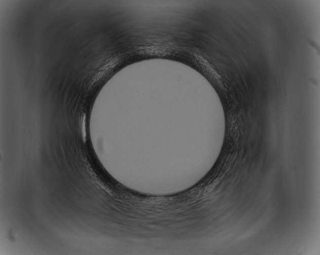 X0000097460020200803201436