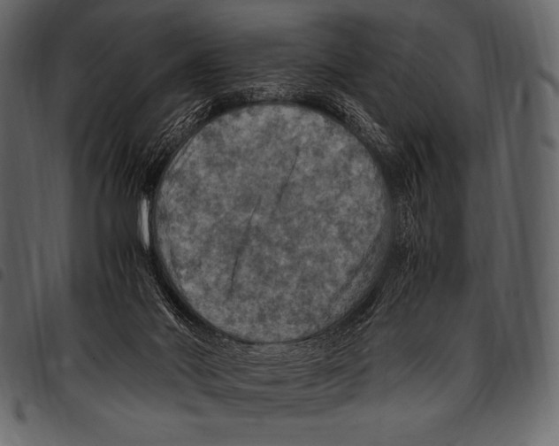 X0000097460022200803201436