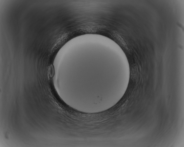 X0000097460023200803201436