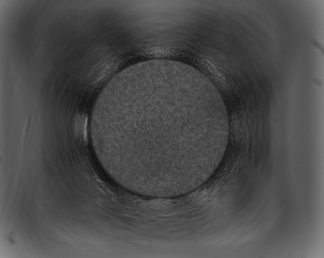 X0000097460024200803201436