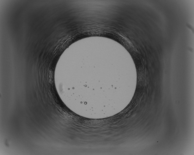 X0000097460025200803201436