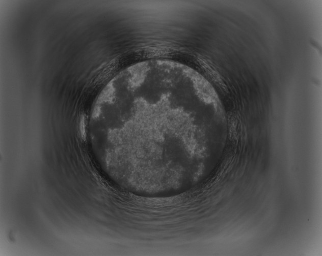 X0000097460026200803201436