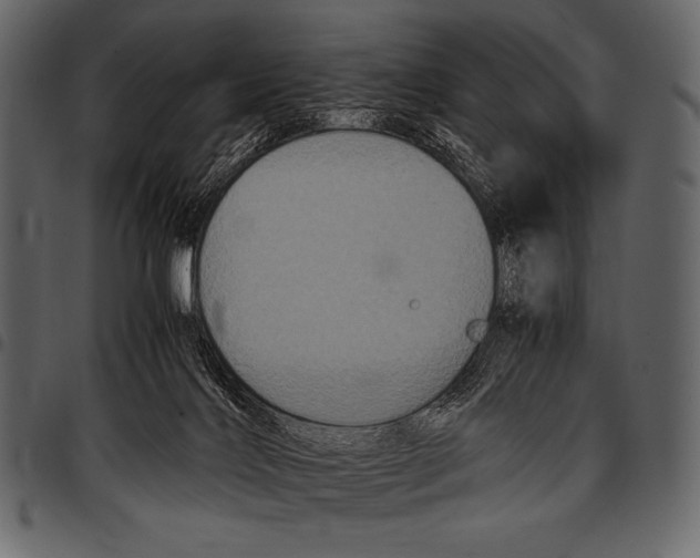 X0000097460028200803201436